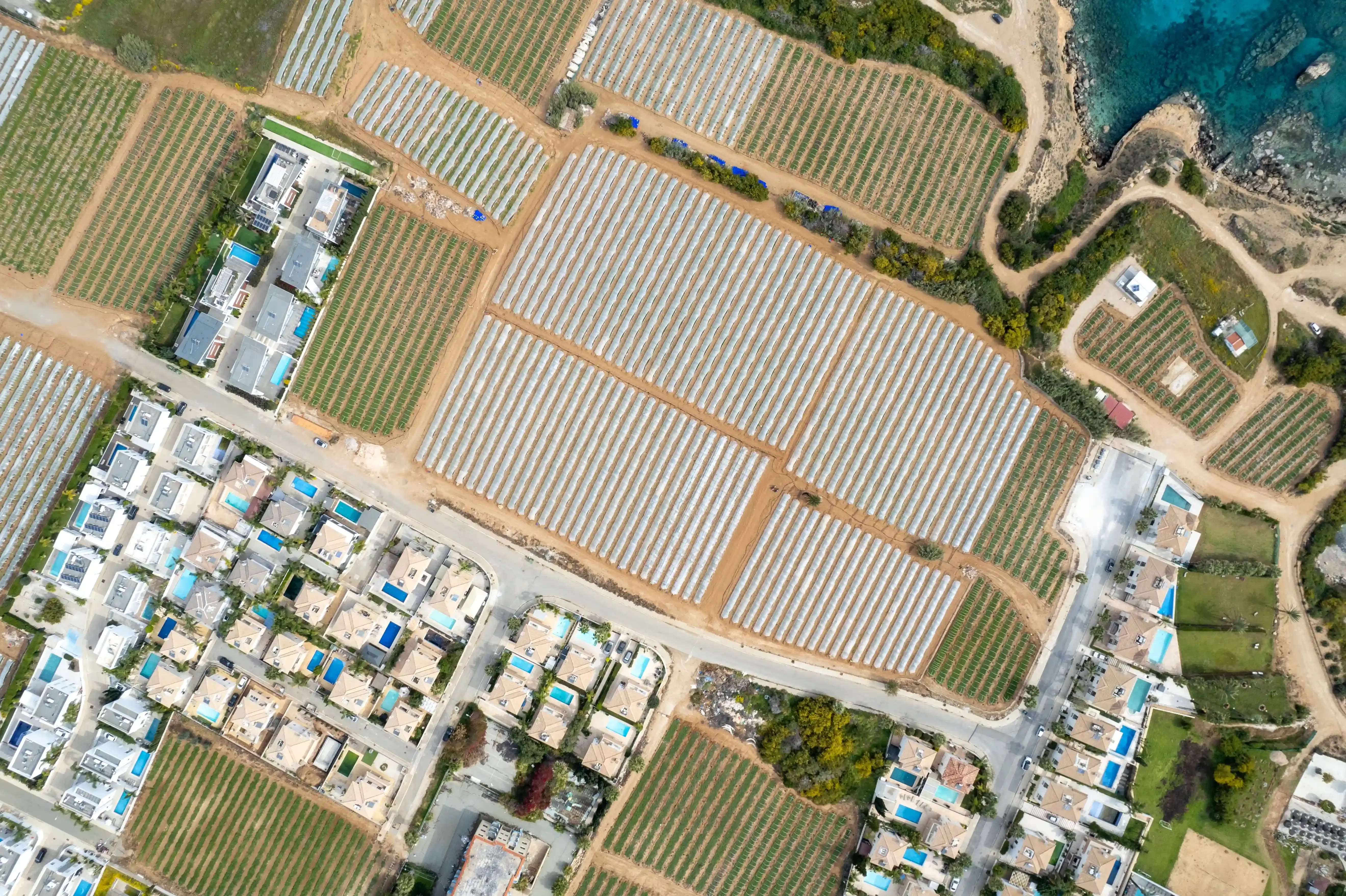 imagen de la entrega de Gran Verona